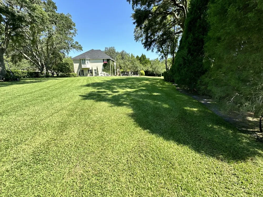 Top-rated landscape installation experts serving Tampa, FL - Eco Lawn of Tampa