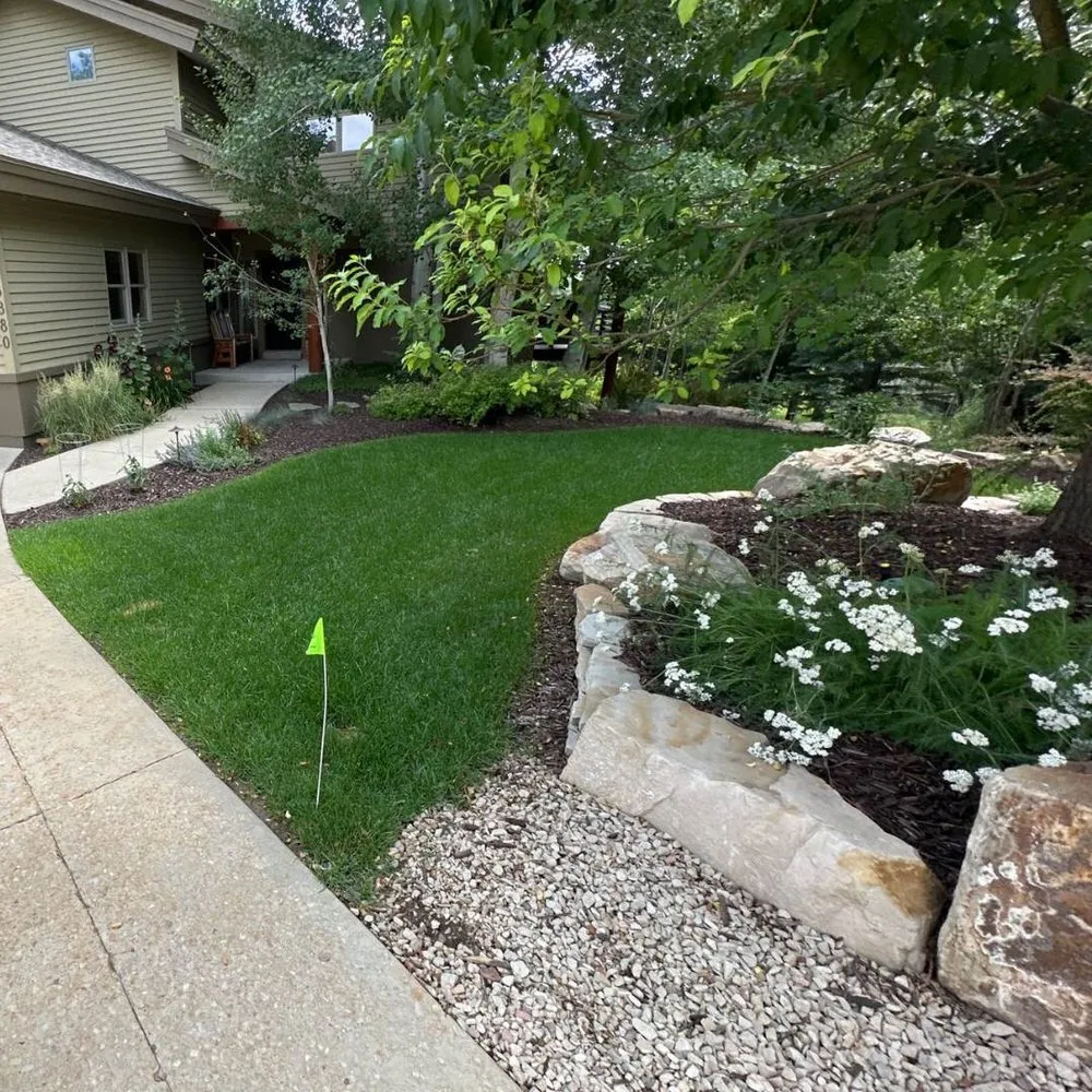 Professional yard maintenance for homes in Tampa, FL by Eco Lawn of Tampa
