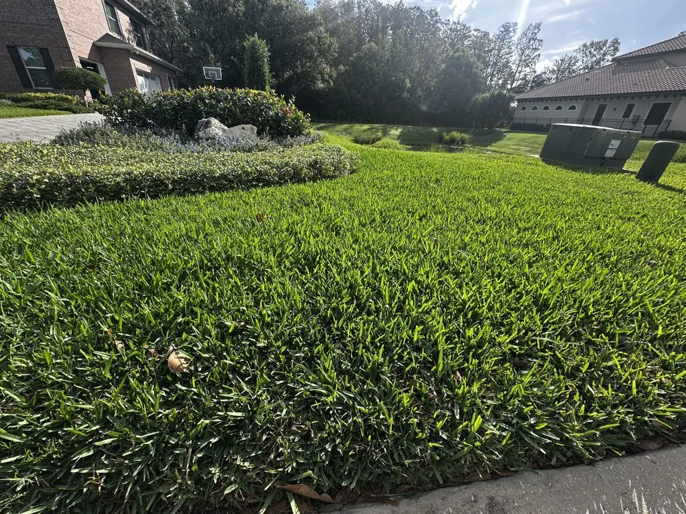 Local yard cleanup service in Tampa, FL by Eco Lawn of Tampa
