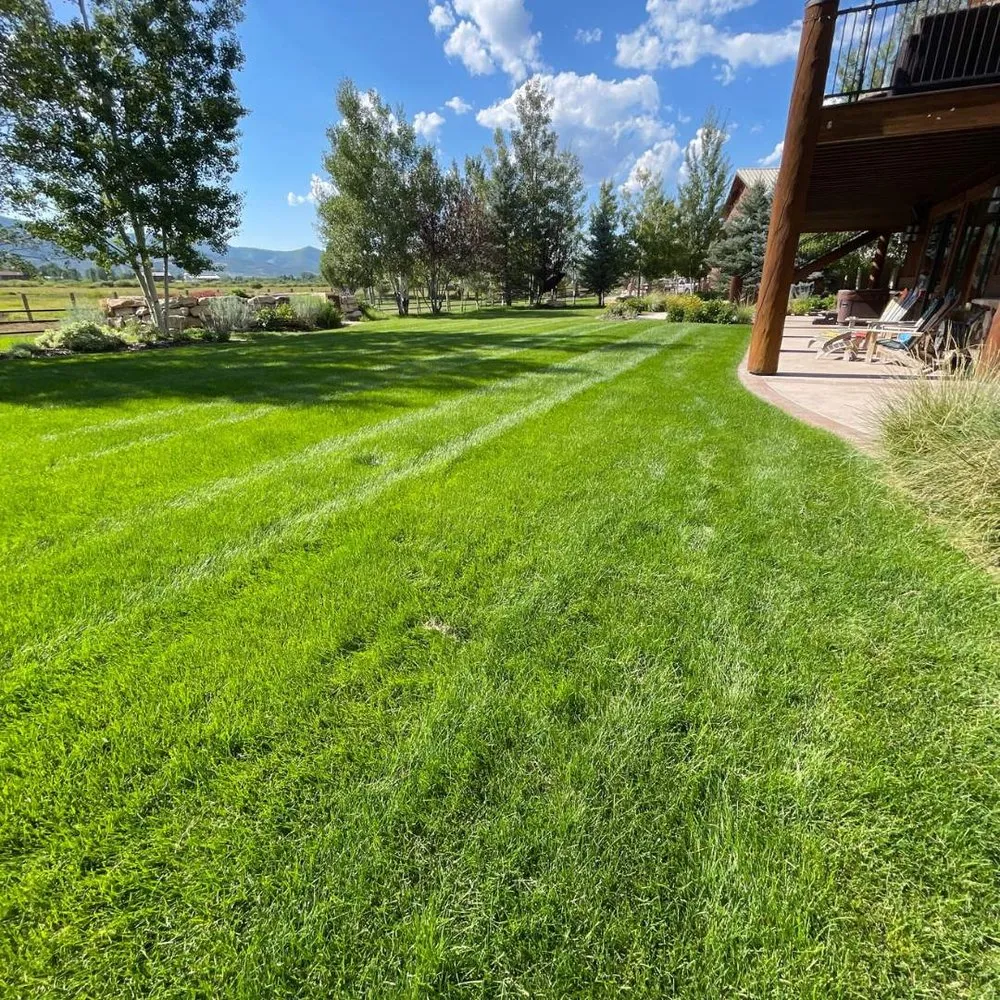 Custom landscape design for beautiful yards in Tampa, FL by Eco Lawn of Tampa