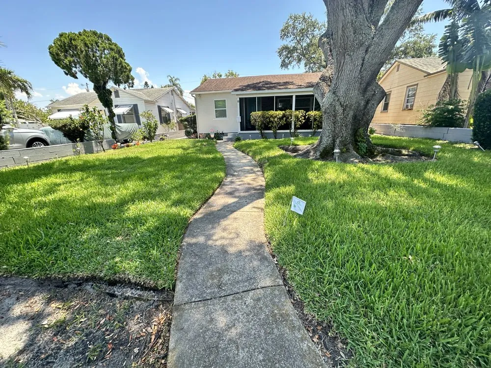 Professional landscape design in Tampa, FL - Eco Lawn of Tampa