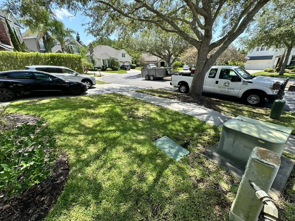 Trusted lawn care service for homes in Tampa, FL by Eco Lawn of Tampa