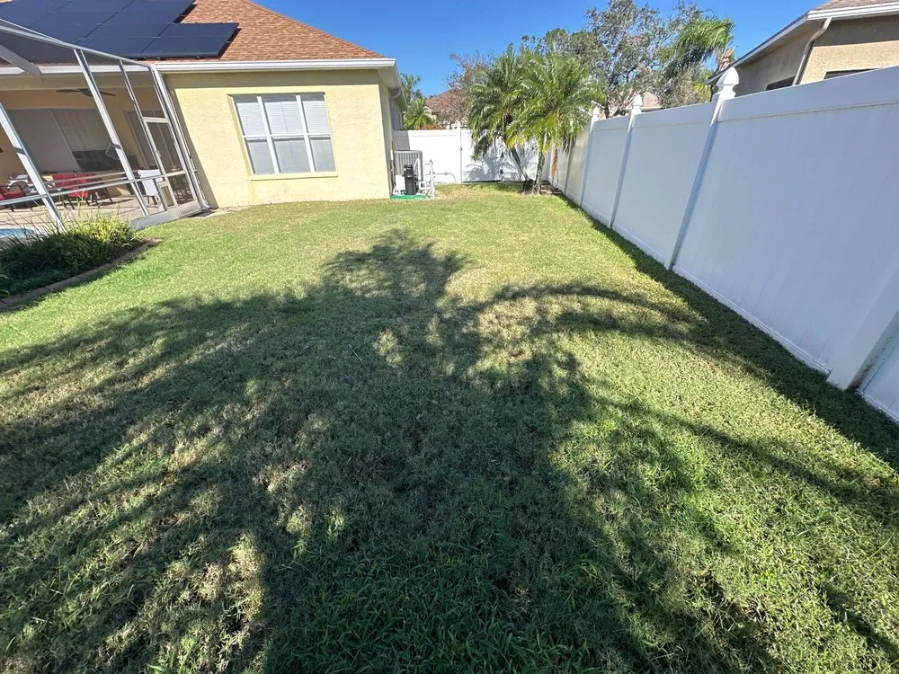 Expert outdoor landscaping in Tampa, FL - Eco Lawn of Tampa
