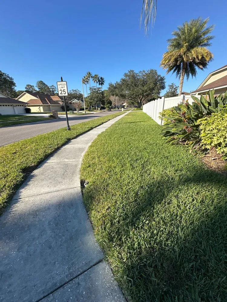 Expert lawn care service in Tampa, FL - Eco Lawn of Tampa