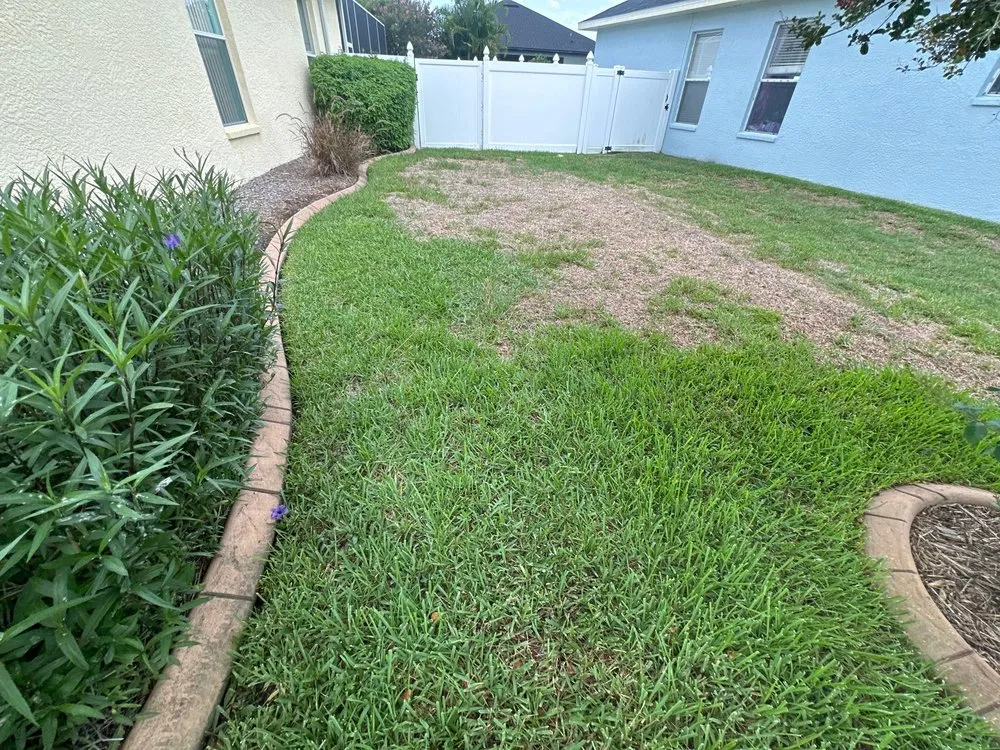 Trusted yard maintenance for outdoor upgrades across Tampa, FL - Eco Lawn of Tampa