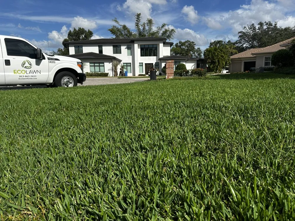 Expert lawn care service experts serving Tampa, FL - Eco Lawn of Tampa