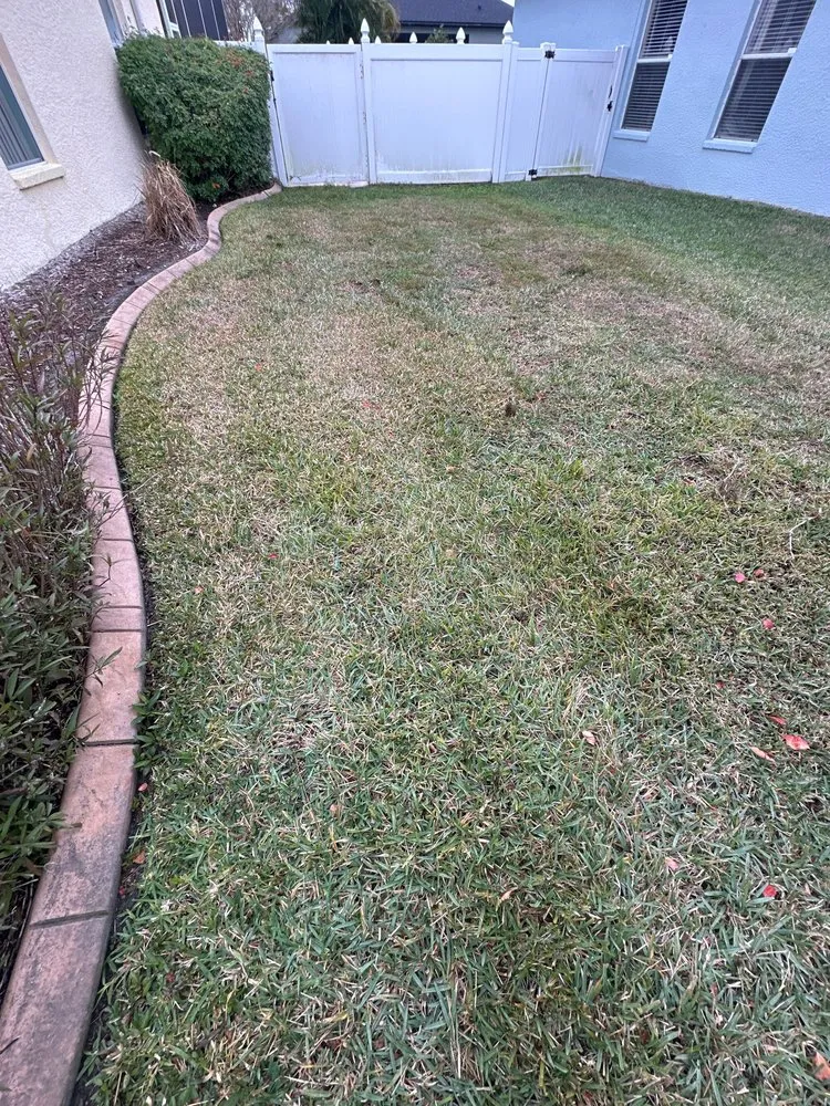 Custom landscape installation for homes in Tampa, FL by Eco Lawn of Tampa