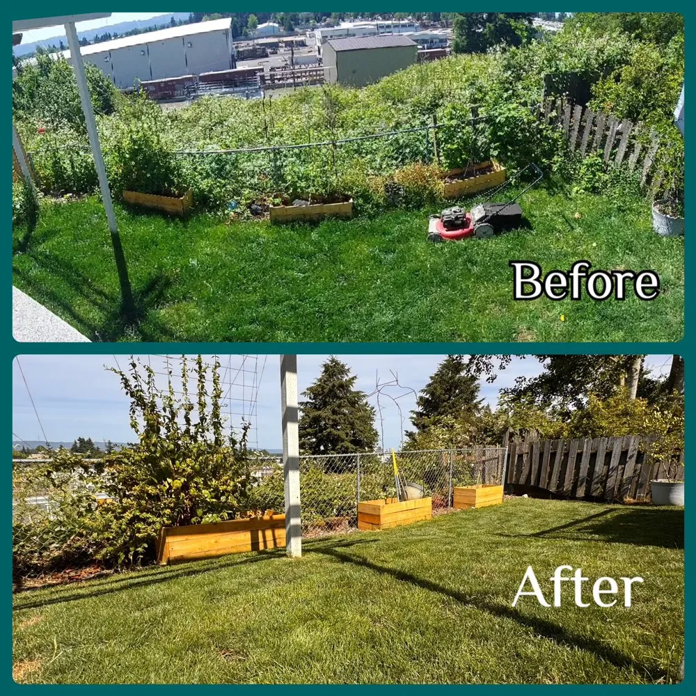Affordable landscaping services for beautiful yards in Ridgefield, WA by Eco-Lawn