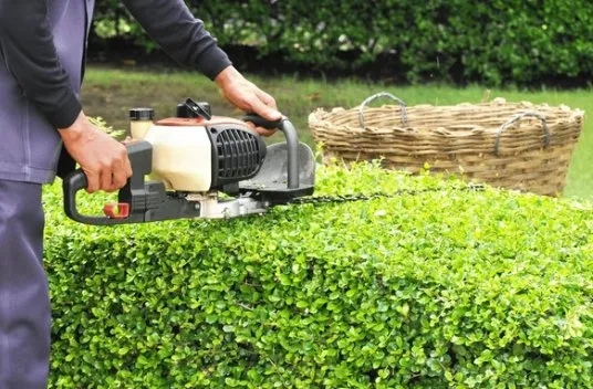 Custom landscape installation with custom design in Baton Rouge, LA by Eco Lawns