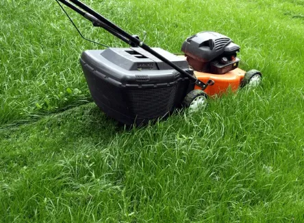 Custom lawn care service experts serving Baton Rouge, LA - Eco Lawns