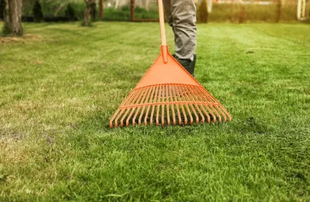 Expert outdoor landscaping experts serving Baton Rouge, LA - Eco Lawns