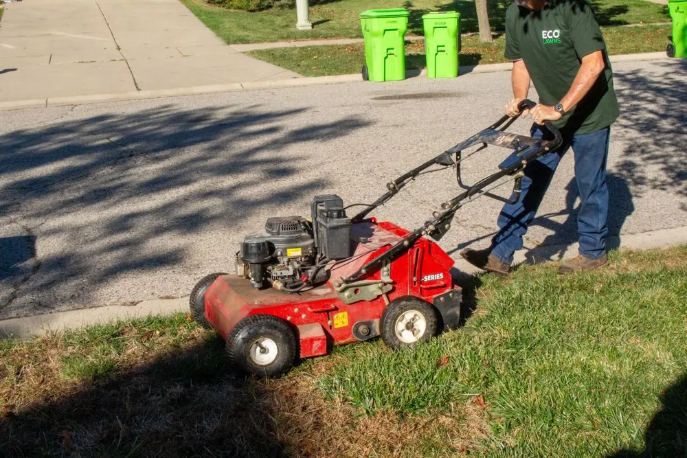 Custom lawn care service in Ypsilanti, MI - Eco Lawns
