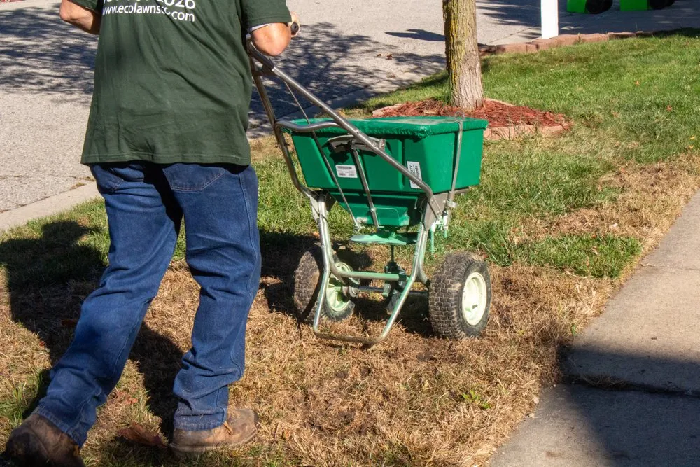 Local residential landscaping in Ypsilanti, MI by Eco Lawns