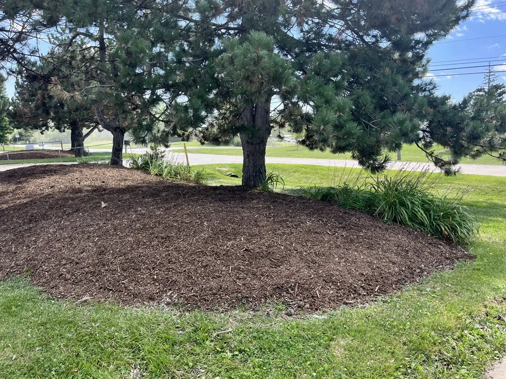 Reliable lawn care service in Ypsilanti, MI - Eco Lawns