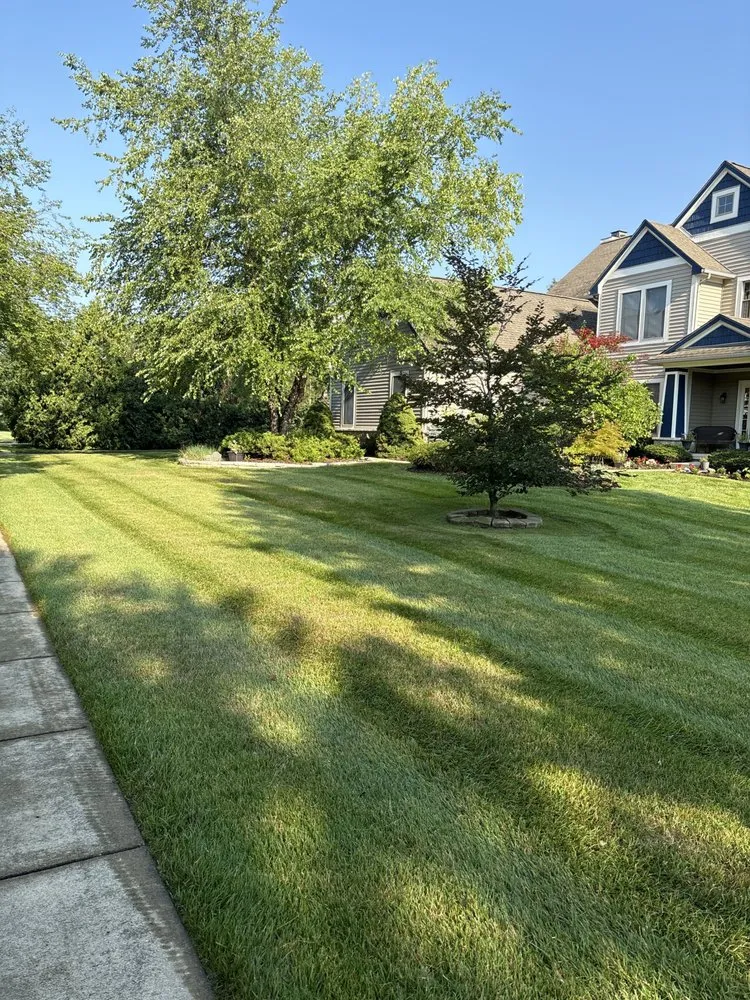 Top-rated lawn mowing service for homes across Ypsilanti, MI - Eco Lawns
