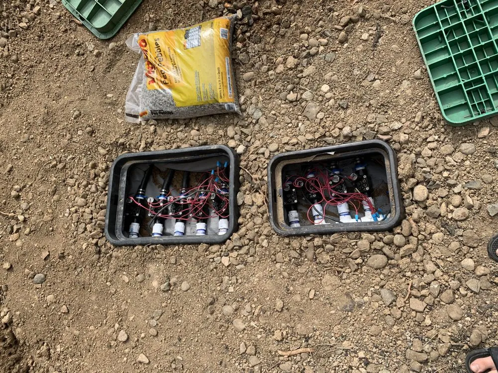 Reliable landscaping services for beautiful yards across Boulder, CO - Eco Lawnz