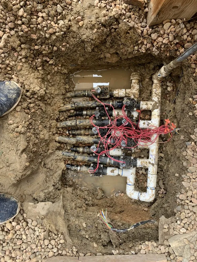 Reliable residential landscaping for outdoor upgrades in Boulder, CO by Eco Lawnz