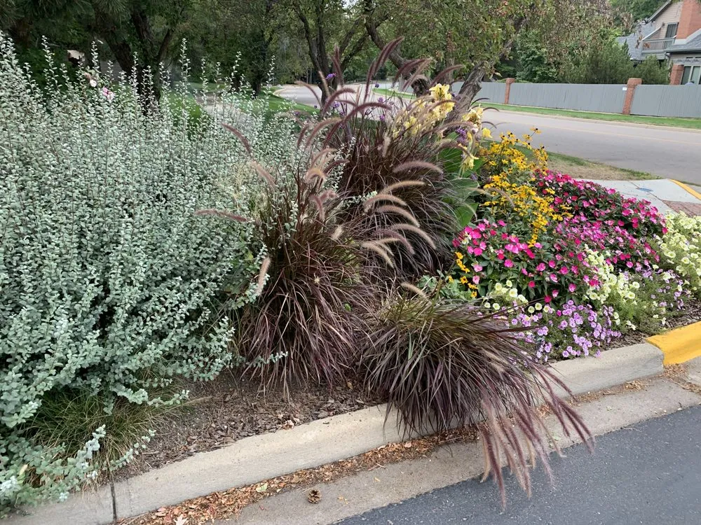 Trusted yard maintenance experts serving Boulder, CO - Eco Lawnz