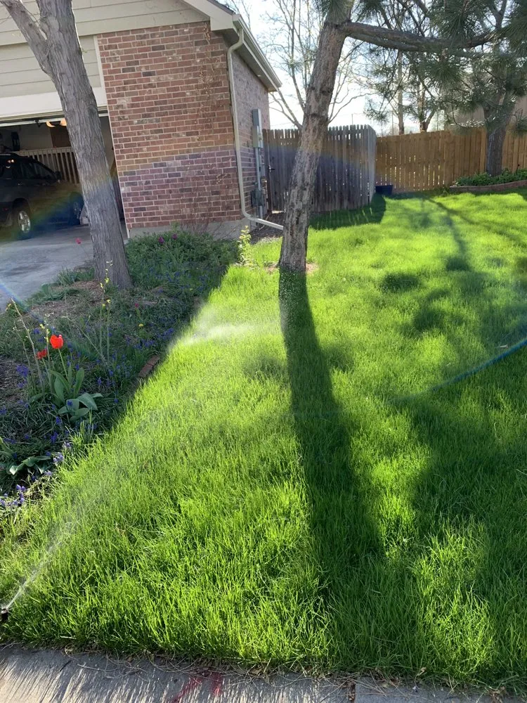 Custom garden landscaping experts serving Boulder, CO - Eco Lawnz