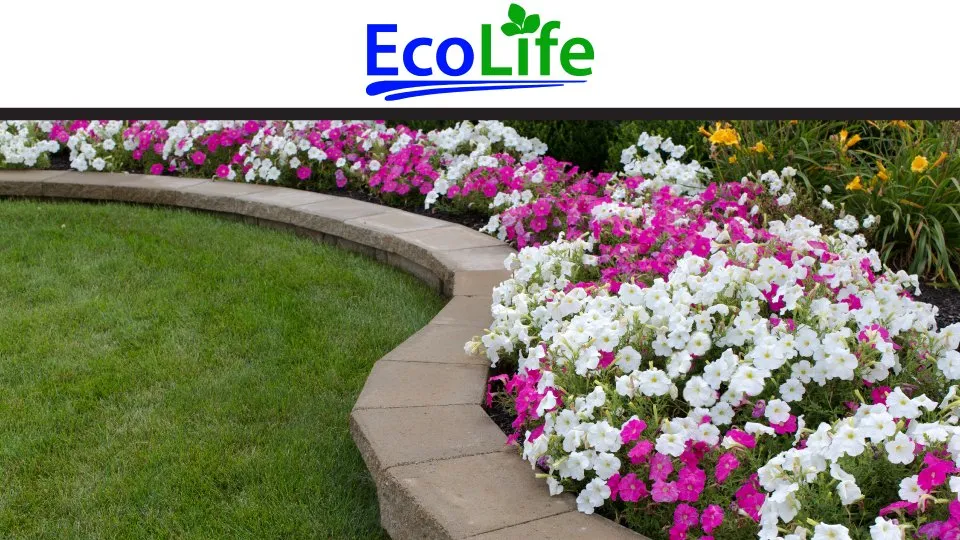 Reliable yard cleanup service in Ephraim, UT - Eco Life