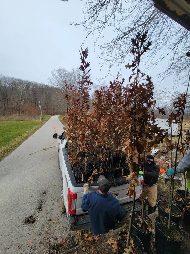 Local residential landscaping for beautiful yards across Bloomington, IN - Eco Logic