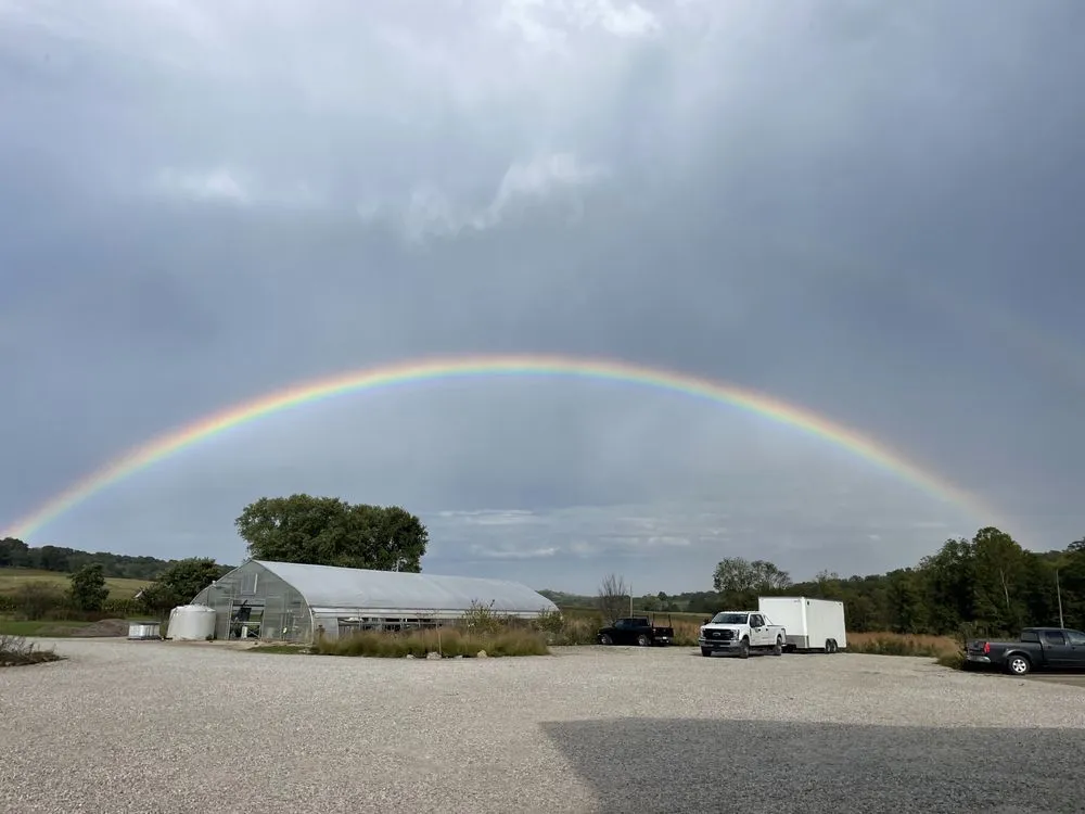 Local yard cleanup service experts serving Bloomington, IN - Eco Logic