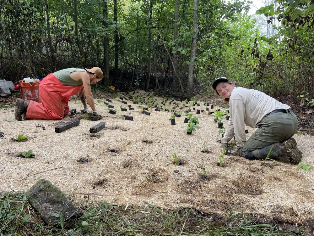 Top-rated residential landscaping in Bloomington, IN by Eco Logic
