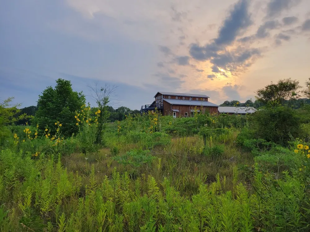 Custom outdoor landscaping in Bloomington, IN - Eco Logic