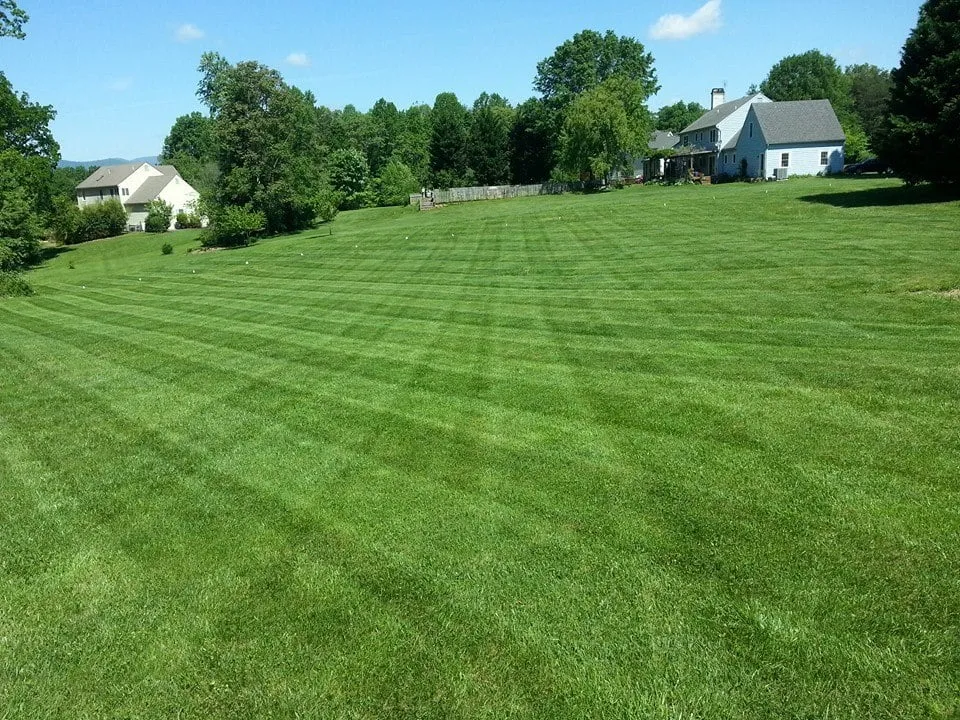 Trusted lawn mowing service in Earlysville, VA by Eco-Logic Natural Lawn Care and Landscaping