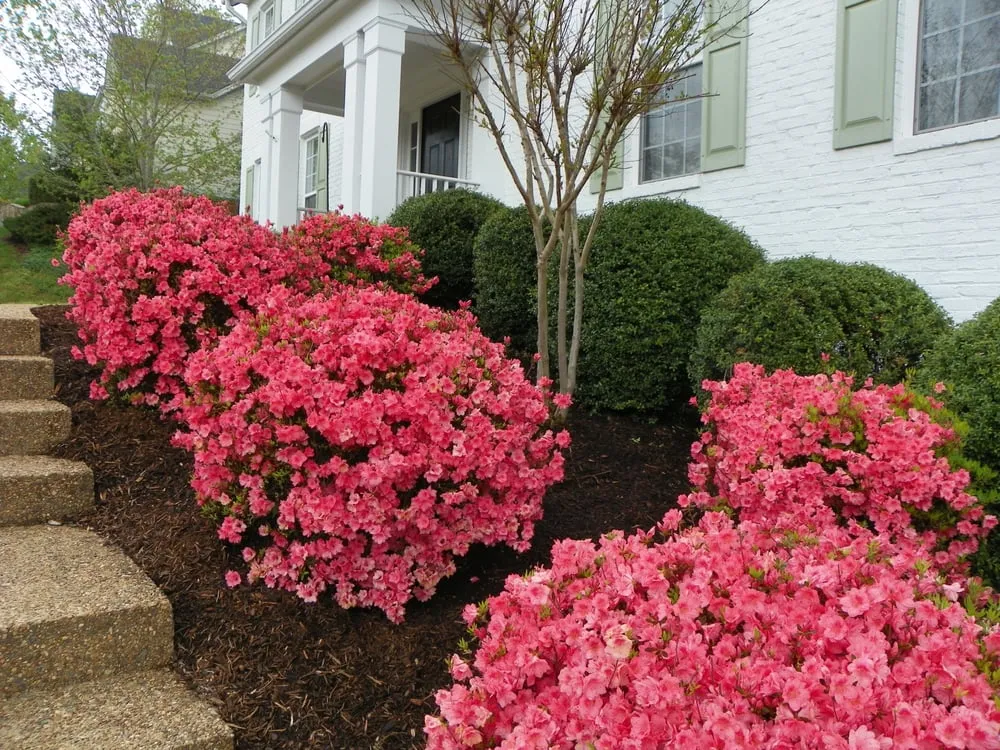 Affordable yard maintenance for homes across Earlysville, VA - Eco-Logic Natural Lawn Care and Landscaping