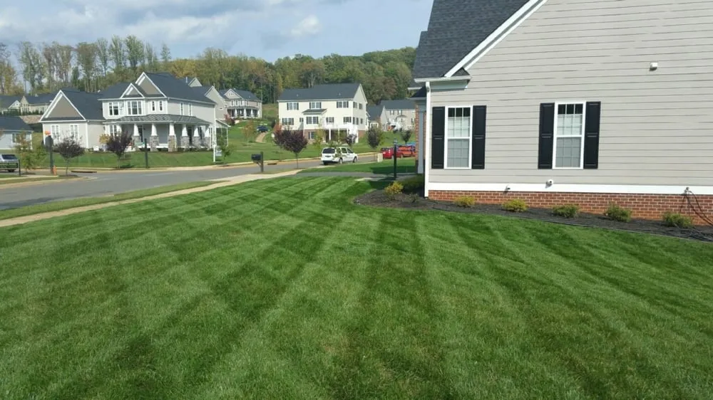 Local landscape design for residential properties in Earlysville, VA by Eco-Logic Natural Lawn Care and Landscaping