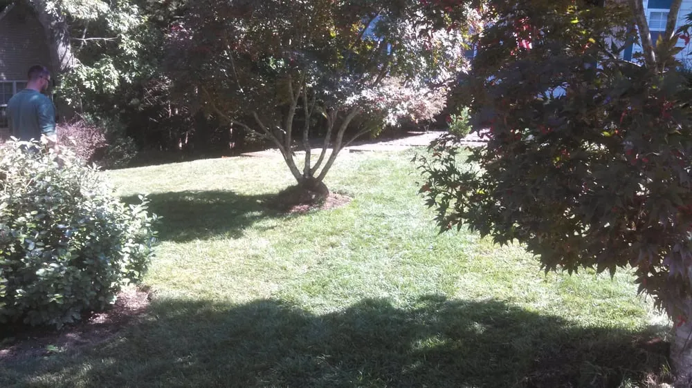 Expert lawn mowing service experts serving Earlysville, VA - Eco-Logic Natural Lawn Care and Landscaping