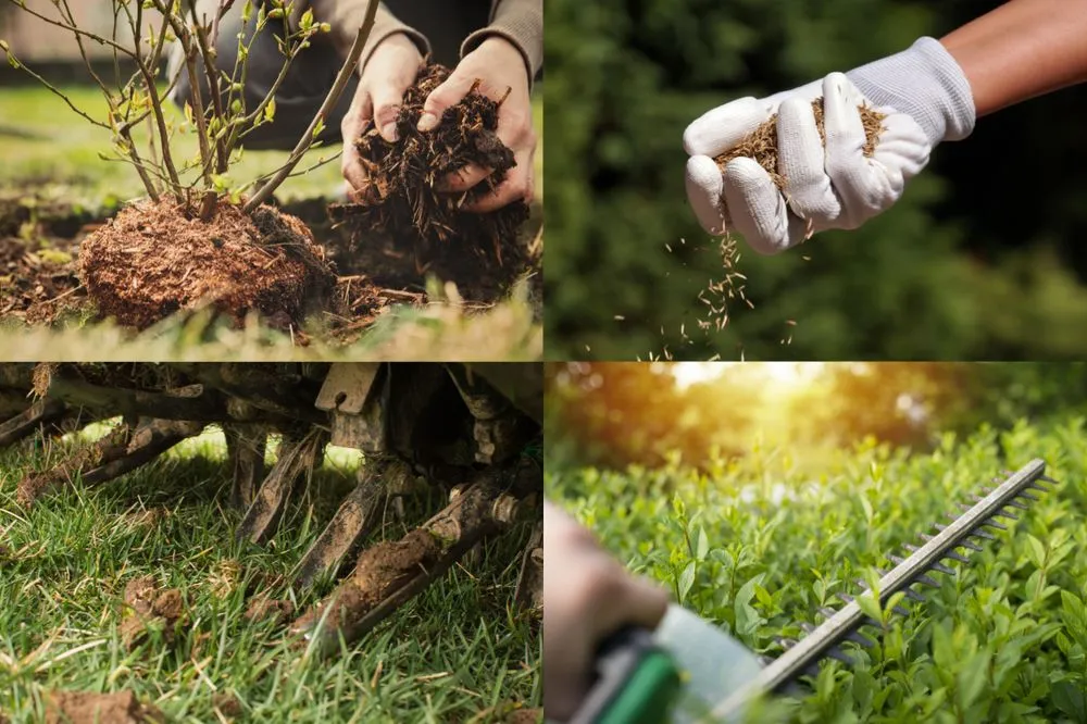 Trusted yard cleanup service in Tipton, IN by ECO-Logical Lawn Care