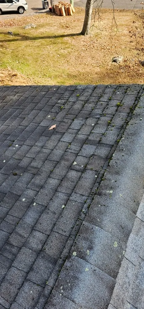 Reliable garden landscaping for year-round maintenance in Port Chester, NY by Eco Logical