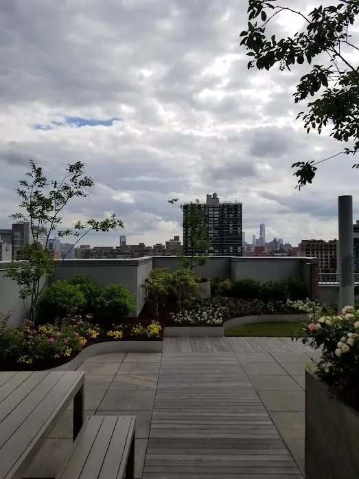 Top-rated outdoor landscaping near you in Port Chester, NY by Eco Logical