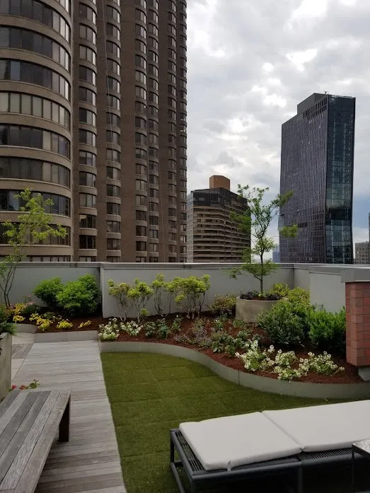 Professional yard cleanup service for beautiful yards in Port Chester, NY by Eco Logical