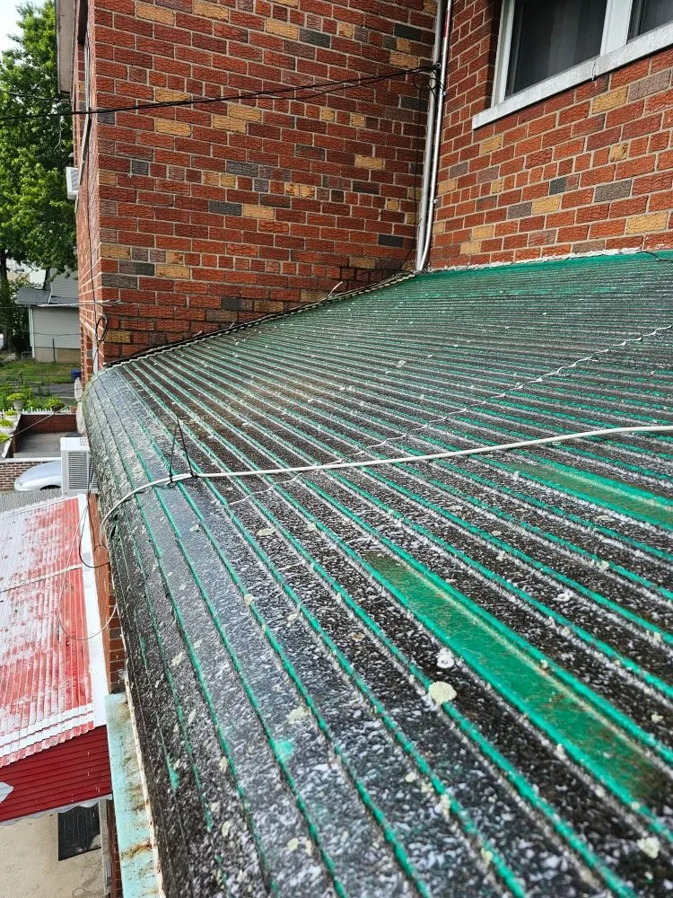 Trusted residential landscaping for outdoor upgrades across Port Chester, NY - Eco Logical