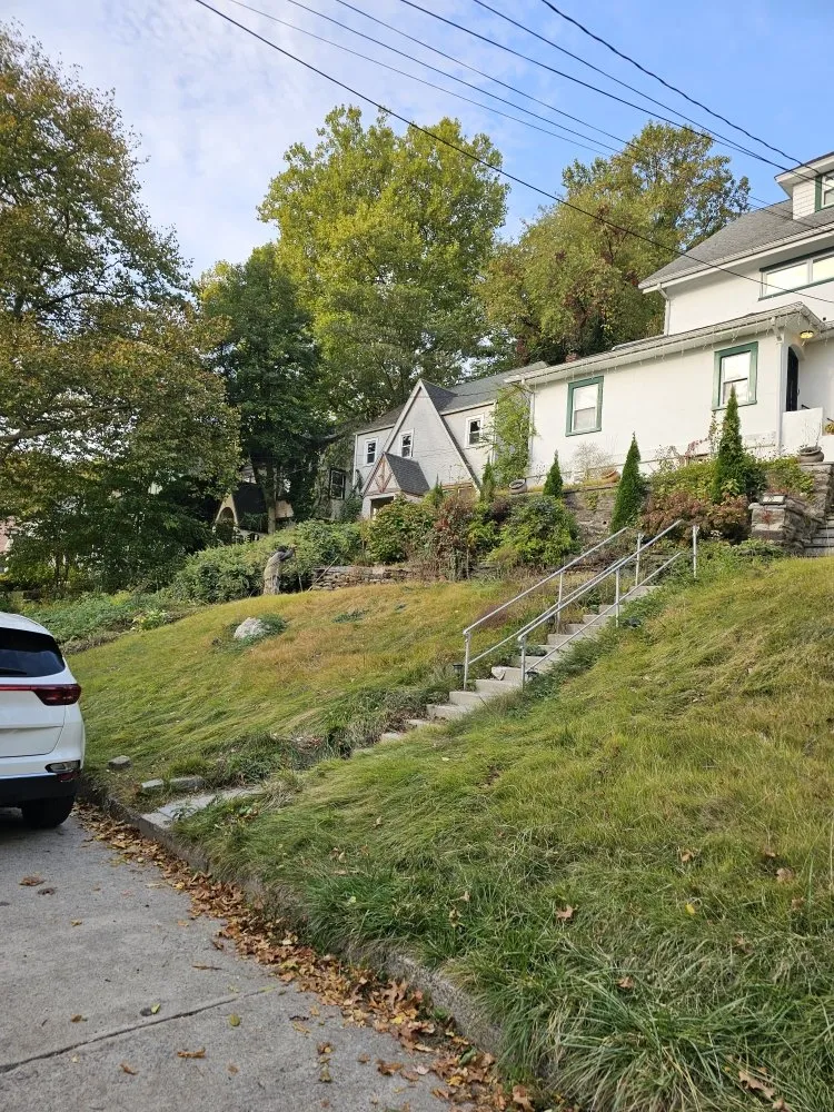 Trusted landscaping services for year-round maintenance across Port Chester, NY - Eco Logical