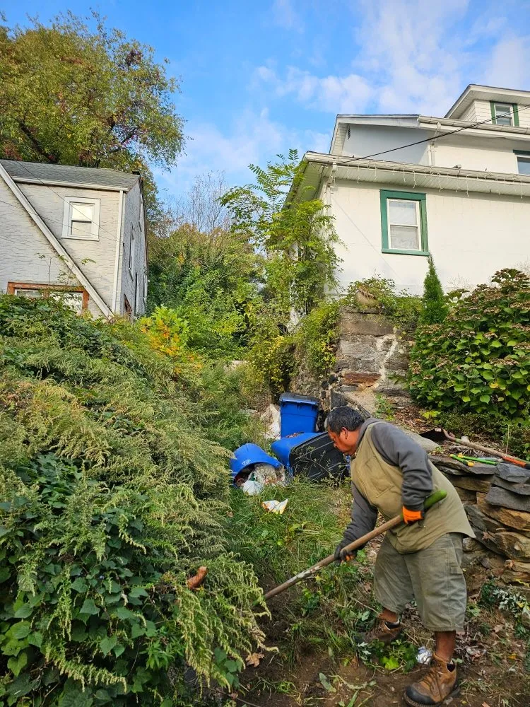 Professional landscaping services in Port Chester, NY - Eco Logical