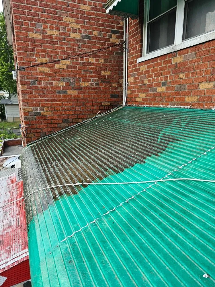 Local yard cleanup service in Port Chester, NY - Eco Logical