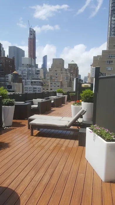 Affordable yard cleanup service in Port Chester, NY by Eco Logical