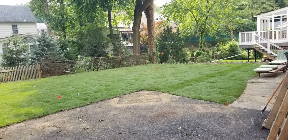 Top-rated landscape design near you across Port Chester, NY - Eco Logical