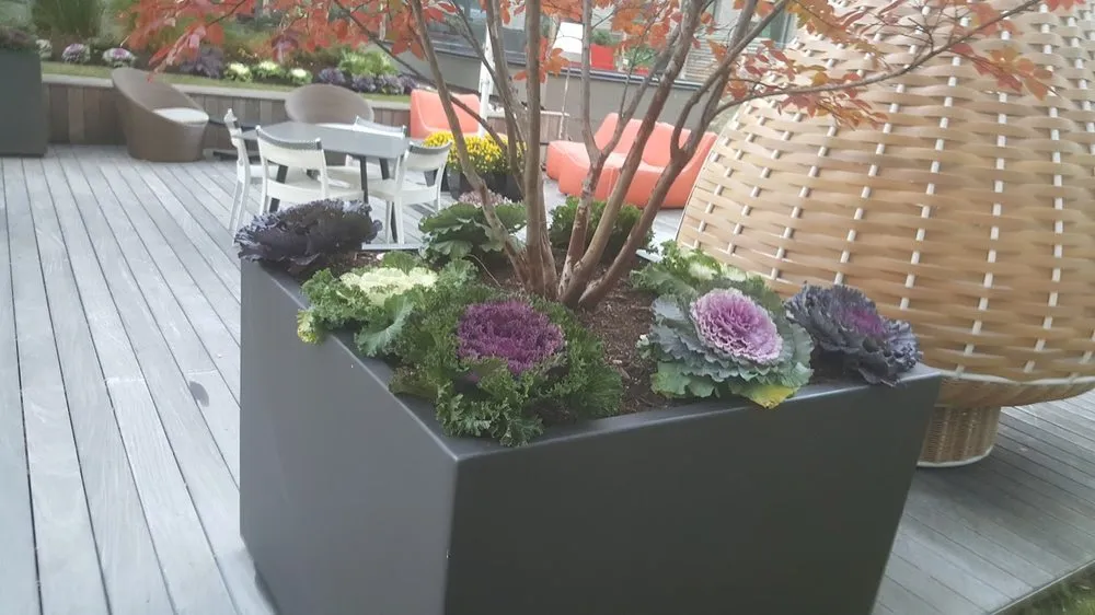 Expert lawn mowing service for beautiful yards in Port Chester, NY by Eco Logical