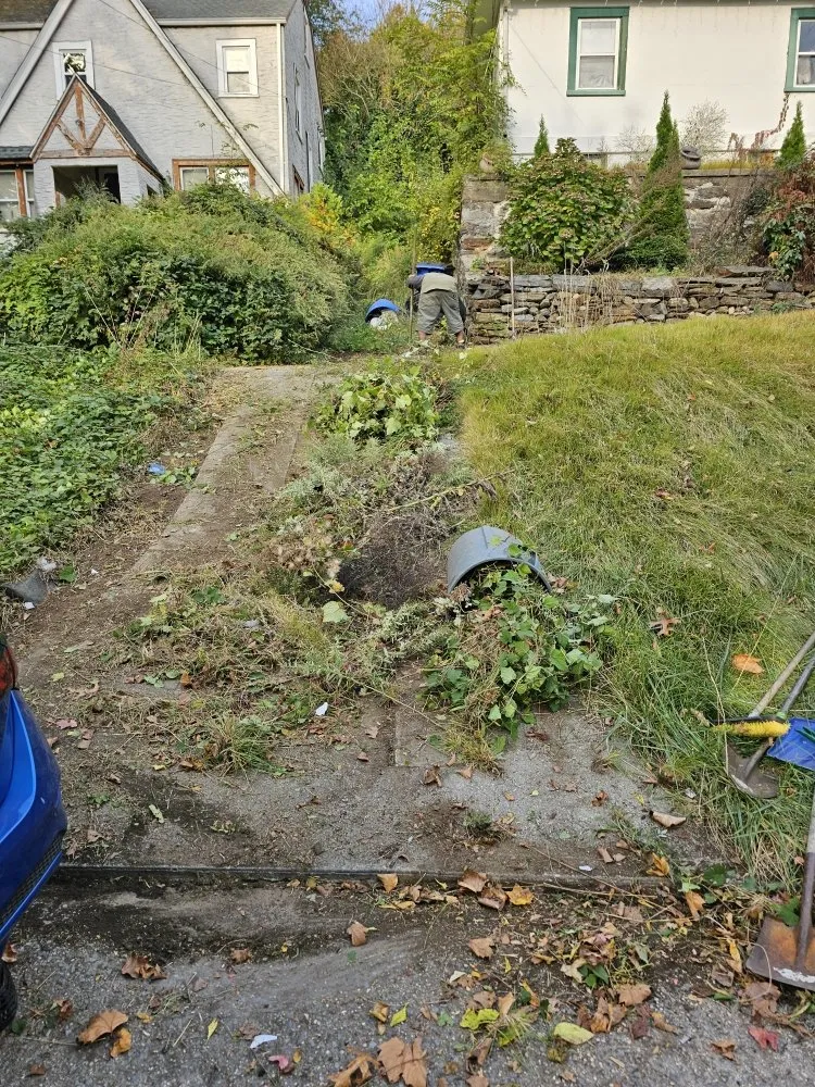 Custom yard maintenance with custom design in Port Chester, NY by Eco Logical