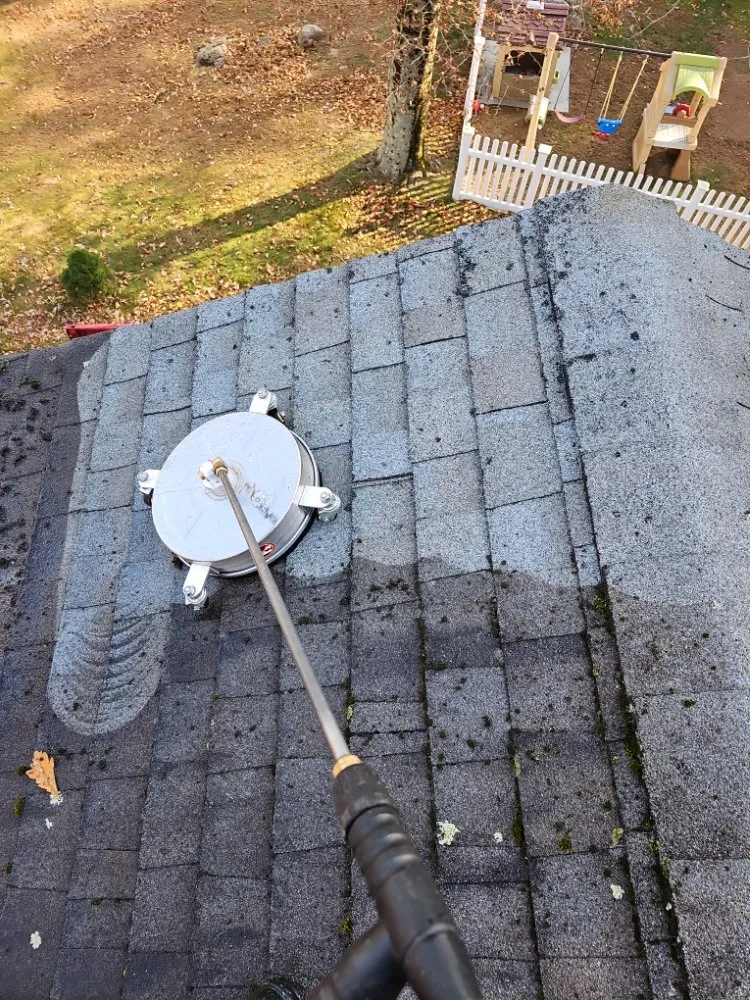 Professional yard cleanup service in Port Chester, NY by Eco Logical