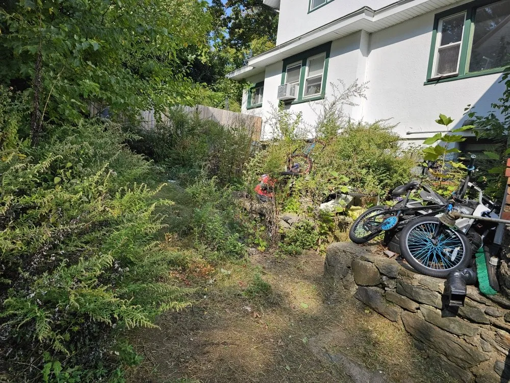 Reliable lawn care service experts serving Port Chester, NY - Eco Logical