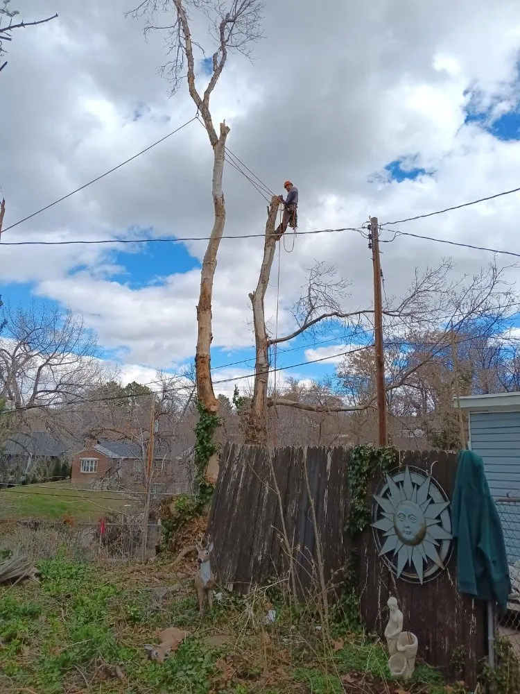 Custom landscape design experts serving West Valley City, UT - Eco Mex