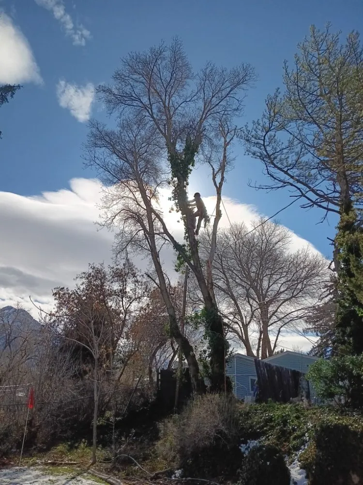 Top-rated yard maintenance near you in West Valley City, UT by Eco Mex