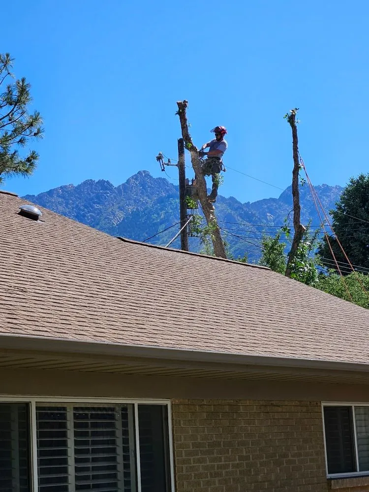 Affordable landscape design for outdoor upgrades across West Valley City, UT - Eco Mex