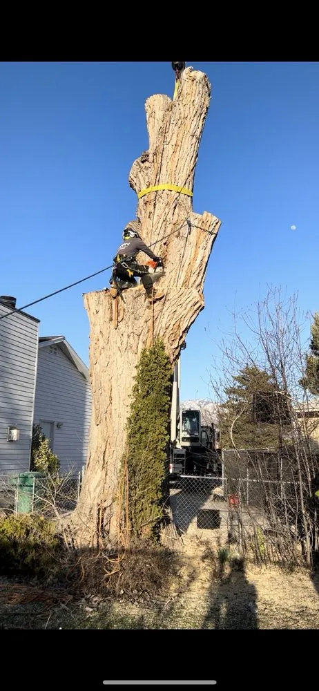 Reliable landscape installation experts serving West Valley City, UT - Eco Mex